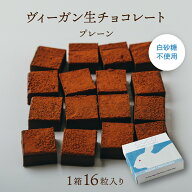 ヴィーガン生チョコレート（プレーン） 〜 バレンタイン ギフト 手土産 スイーツ チョコレート 乳製品ア…