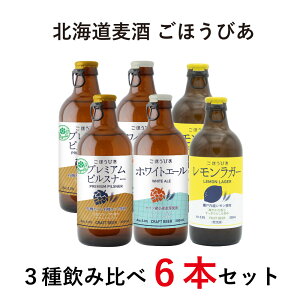 kC قт3ݔ׃Zbg 300ml 6{ r[Zbg Mtg NX}X Ε  v[g ii Cxg p ()