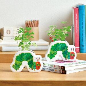 ͂؂ނ 킭킭|bgK[f ChXgx[ 퐻̃VGbg^|bgňĂ͔|Lbg W153×D65×113mm GbNEJ[ G{