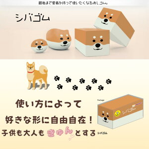 VoS gĂɁǍ`ɕωS ̍DȌ`ɈĂĂƂň}V}V 1胍O^Cv W21×H21×D42mm TX^[ Mtg CkD q