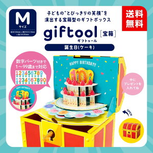 ygiftool (MtgD[)󔠁z aiP[LjMTCYiȂƂV[gtj304mm×s213mm×152mmit^܂܂jMtgBOX@v[g