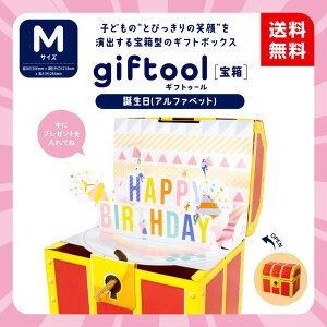 ygiftool (MtgD[)󔠁z aiAt@xbgjMTCY 304mm×s213mm×152mmit^܂܂j