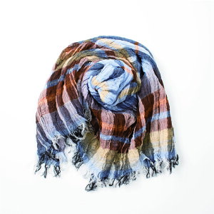 �d�B�D��X�k�[�h�i�u���[�j �D�n�� �W���K�[�h�D�� ����F 50cm×60cm �M���U�[ �I�[���V�[�Y�� �v���[���g ��̓� ���蕨 ���� �ȑf�� ��􂢉\ �D�� �E�l�Z