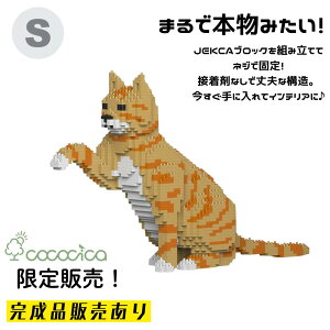 �y�����i�zJEKCA�i�W�F�b�J�j�u���b�N �u�g���˂� KBST19CA04�[M01�v S�T�C�Y 1,700�̃u���b�N��g�ݏグ�Ă��͂��ł���̂�cococica�����I �l�W�ŌŒ肷�����\���Ȃ̂ŁA���i�v�I�ɉ��Ȃ���