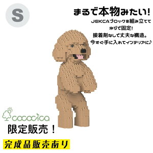 �y�����i�zJEKCA�i�W�F�b�J�j�u���b�N �u�g�C�E�v�[�h�� KBST19TPD04�|M03�v S�T�C�Y 720�̃u���b�N��g�ݏグ�Ă��͂��ł���̂�cococica�����I �l�W�ŌŒ肷�����\���Ȃ̂ŁA���i�v�I�ɉ��