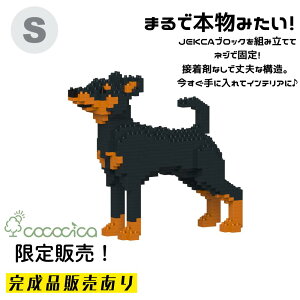 �y�����i�zJEKCA�i�W�F�b�J�j�u���b�N �u�~�j�`���A�E�s���V���[ KBST19PT35�|M01�v S�T�C�Y 480�̃u���b�N��g�ݏグ�Ă��͂��ł���̂�cococica�����I �l�W�ŌŒ肷�����\���Ȃ̂ŁA���i�v