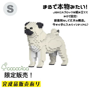 �y�����i�zJEKCA�i�W�F�b�J�j�u���b�N �u�p�O �@KBST19PT09�|M03�v S�T�C�Y 1,100�̃u���b�N��g�ݏグ�Ă��͂��ł���̂�cococica�����I �l�W�ŌŒ肷�����\���Ȃ̂ŁA���i�v�I�ɉ��Ȃ���i