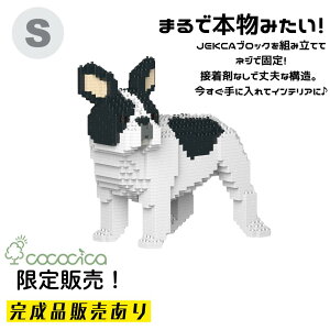 �y�����i�zJEKCA�i�W�F�b�J�j�u���b�N �u�t�����`�E�u���h�b�O KBST19FB03�|M04�v S�T�C�Y 1,110�̃u���b�N��g�ݏグ�Ă��͂��ł���̂�cococica�����I �l�W�ŌŒ肷�����\���Ȃ̂ŁA���i�v�I