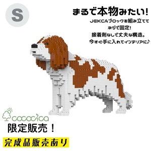 �y�����i�zJEKCA�i�W�F�b�J�j�u���b�N �u�L���o���A�E�L���O�E�`���[���Y�E�X�p�j�G�� KBST19PT36�|M01�v S�T�C�Y 1,310�̃u���b�N��g�ݏグ�Ă��͂��ł���̂�cococica�����I �l�W�ŌŒ肷���