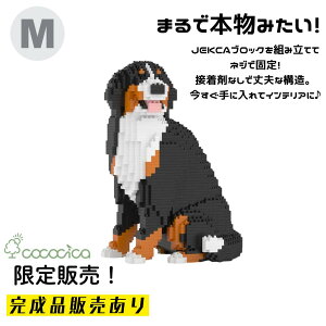 �y�����i�zJEKCA�i�W�F�b�J�j�u���b�N �u�o�[�j�[�Y�E�}�E���e���E�h�b�O KBST19BMD05B�v M�T�C�Y�@1,920�̃u���b�N��g�ݏグ�Ă��͂��ł���̂�cococica�����I �l�W�ŌŒ肷�����\���Ȃ̂�