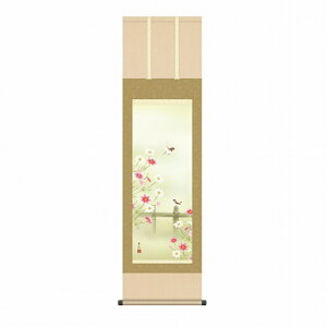 x uHv ڎOi44.5x164cmj | ʍI| ʓ KZ1MA6-35C Vi \ ϔ[ | Ԓ { RXX H i|