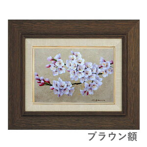 ʉ SM cp uv^M z zG G Õ  CeA M G t̉ R _ A