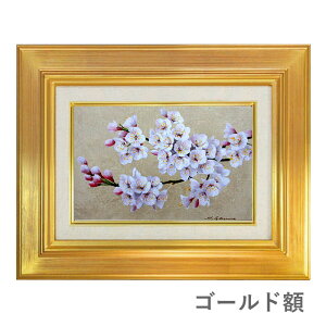 ʉ SM cp uv^M z zG G Õ  CeA M G t̉ R _ A