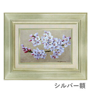 ���ʉ� SM�� ���c�p�� �u���v�^�M �z���� �z���G�� ���G �Õ��� �� �C���e���A ���M�� �������G �t�̉� �R�� ���_�� �A����