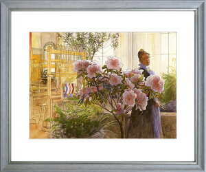  J[E[V uAUAv A[gɃWN[  z G m l J[ ё XEF[f̉ eB[EM[iXEF[fj