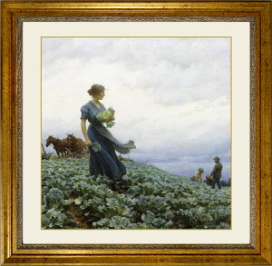  `[YER[gj[EJ uLxcv  LoXnɃWN[ zt G AJ̈۔h S