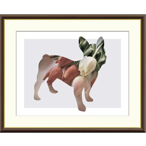 R uTulipv F8izO61x49cmj ʍH|@zt@@@`[bv@̃VGbg@_A[g@@t`uhbO