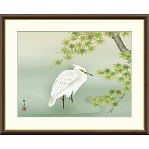 ]jM uɔv F8izO61x50cmj ʍH|{ʓ@zt@@i@Ԓ@G߁Fā@Ł@Ē@VTM@J1-A010