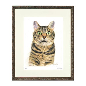 @gV uglRv @M@@W[N[ŉ@WN[@z@˂@LWg@ƂL@LbgA[g@킢@i@ʎ@AY@l yC730