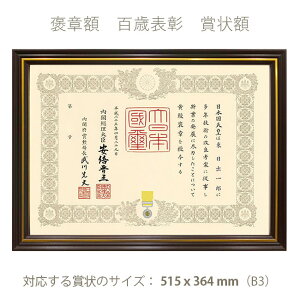 �J�͊z�@�܏�z�@�S�Ίz�@515x365mm�̏܏󂪓���z���@�}�z�K�j�[�F�@�S�Ε\���@�z���@UV�A�N�����@�e�Ȓ���b�܁@���h���J�ҏ��h�������\�� �x�����ď� �x�@���я� ����ҕ\�� �܏��p�z 