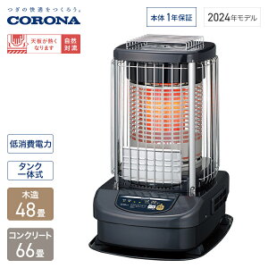 Ri u[o[i ؑ48 RN[g66 u[^bN GH-G19N