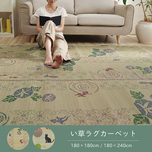 ���O ���� ���� �a ������ �R���p�N�g ����~�ߕs�D�z ���R�f�� �R�ۖh�L ��180×240cm