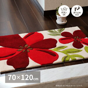 փ}bg Ax 50×80 70×120 cm 􂦂 ~ k t[ 