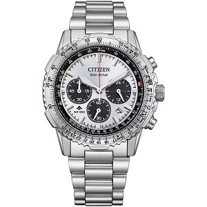 CITIZEN PROMASTER V`Y v}X^[ CA4660-61A SKYV[Y dGREhCu Yrv Ki