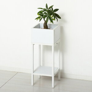 v^[VFt [iؖځjNVI 23428v^[X^hIt[ p[e[V v^[{bNX fBXvC u [ zCg ϗtA