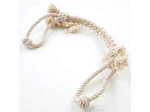 yr[e100~OFFN[|zy񂹁zyeBI i`Rbg[v S A23650 ^   hbOp ybg U ObY ybgnEX