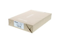 プリンタ帳票マルチタイプA4 白紙 2面 500枚 Forestway 納品書 請求書 支払明細書 ミシン目入り用紙 プリ…