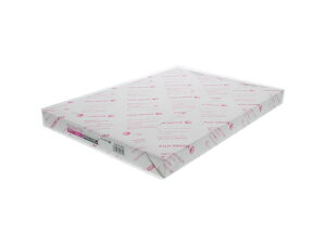 【レビュー投稿で100円OFFクーポン】富士フイルムBI Nカラー104 A3 250枚 ZGAA0240 A3 カラーレーザー用紙 レーザープリンタ用紙