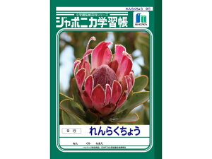 yr[e100~OFFN[|zVEm[g W|jJwK 炭傤9s A5 JA-68 A 炭傤 wK m[g