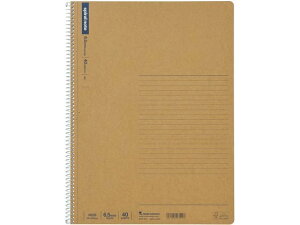 yr[e100~OFFN[|z}} XpCm[g A4 r40 N235 OԂ^Cv A4m[g