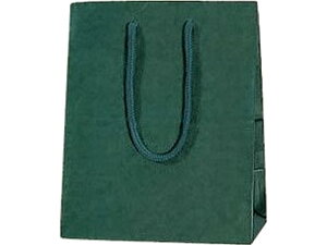 �y���r���[���e��100�~OFF�N�[�|���z�y�����񂹁z�w�C�R�[ �J���[�`���[���o�b�O �O���[�� 20-12(200×250×120mm)10�� ������ �ەR ���� ���b�s���O �