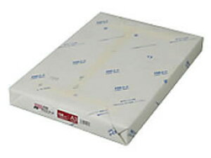 【レビュー投稿で100円OFFクーポン】王子製紙 PODグロスコート 158 A3 250枚 900366 A3 カラーレーザー用紙 レーザープリンタ用紙