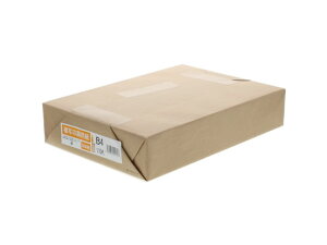 yr[e100~OFFN[|zR[ Rs[p B4 110Kg 500 901569 B4TCY Rs[p