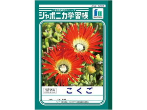 yr[e100~OFFN[|zVEm[g W|jJwK  12}X JL-9   wK m[g