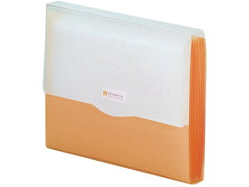 リヒトラブ REQUEST ドキュメントファイル A4 オレンジ G5610-4 ケースファイル 書類ケース 書類キャリー ドキュメントキャリー ファイル