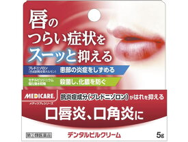 【第(2)類医薬品】薬)森下仁丹 メディケア デンタルピルクリーム 5g 口の薬 医薬品