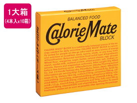 大塚製薬 カロリーメイトブロック チーズ味 (4本入り)×10箱 カロリーメイト バランス栄養食品 栄養補助 健康食品