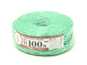 yubNtCf[聚279:59X|Cg2{zy񂹁zPP[v בp 3{ 5mm×100m  PP[v בR 