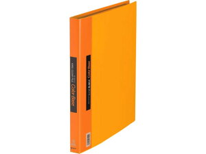 yr[e100~OFFN[|zLOW NA[t@CJ[x[X֎A4 30 w25  A4 ֎N[t@C