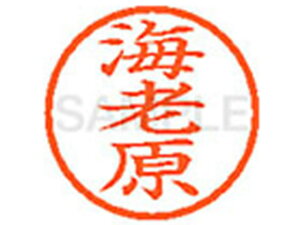 yr[e100~OFFN[|zy񂹁zV`n^ XL-6(CV) G l[6 As l[ a6mm X^v