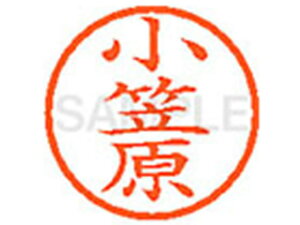 yr[e100~OFFN[|zy񂹁zV`n^ XL-6(}) I l[6 As l[ a6mm X^v