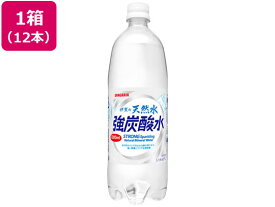 【マラソン限定★2,000円クーポン＆ポイント2倍】送料無料 日本サンガリア 伊賀の天然水 強炭酸水 1L×12本 炭酸水 スパークリングウォーター 水 ミネラルウォーター 飲料
