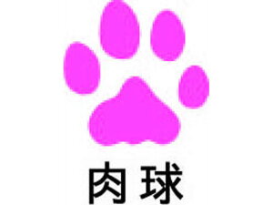 yr[e100~OFFN[|zpCbg tNVX^v  sN SPF-12-48P X^v^Cv fR[VX^v X^v l[