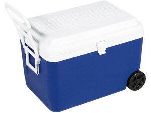 yr[e100~OFFN[|zy񂹁zLveX^bO K[h zC[N[[60L u[ N[[{bNX N[[ WO AEghA Lvpi