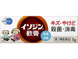 【第3類医薬品】薬)シオノギ イソジン 軟膏 5g 軟膏 クリーム すり傷 やけど ただれ 皮膚の薬 医薬品