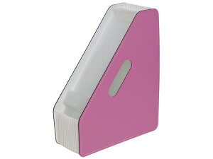 yr[e100~OFFN[|zZLZC hLgX^h Al A4^e sN FB238121 A4 {bNXt@C PP {bNX^t@C